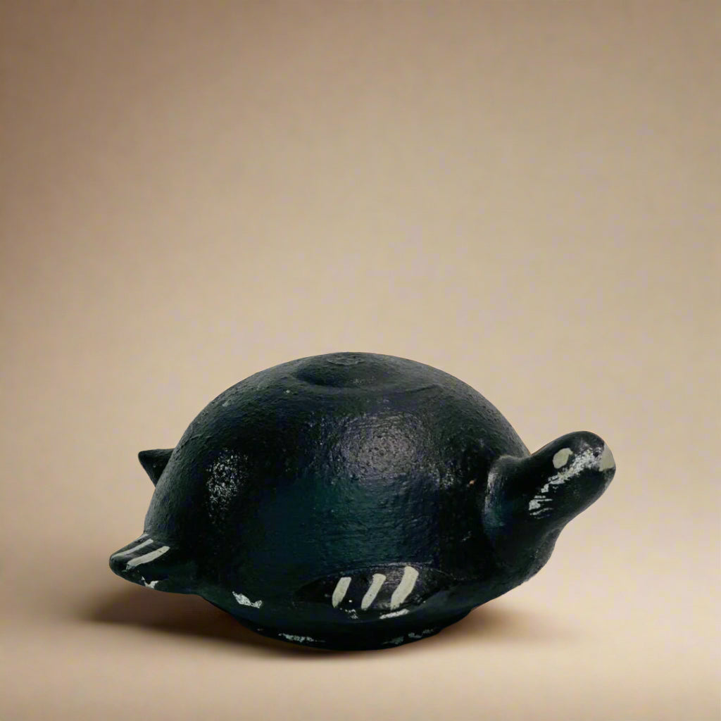 The Floating Tortoise