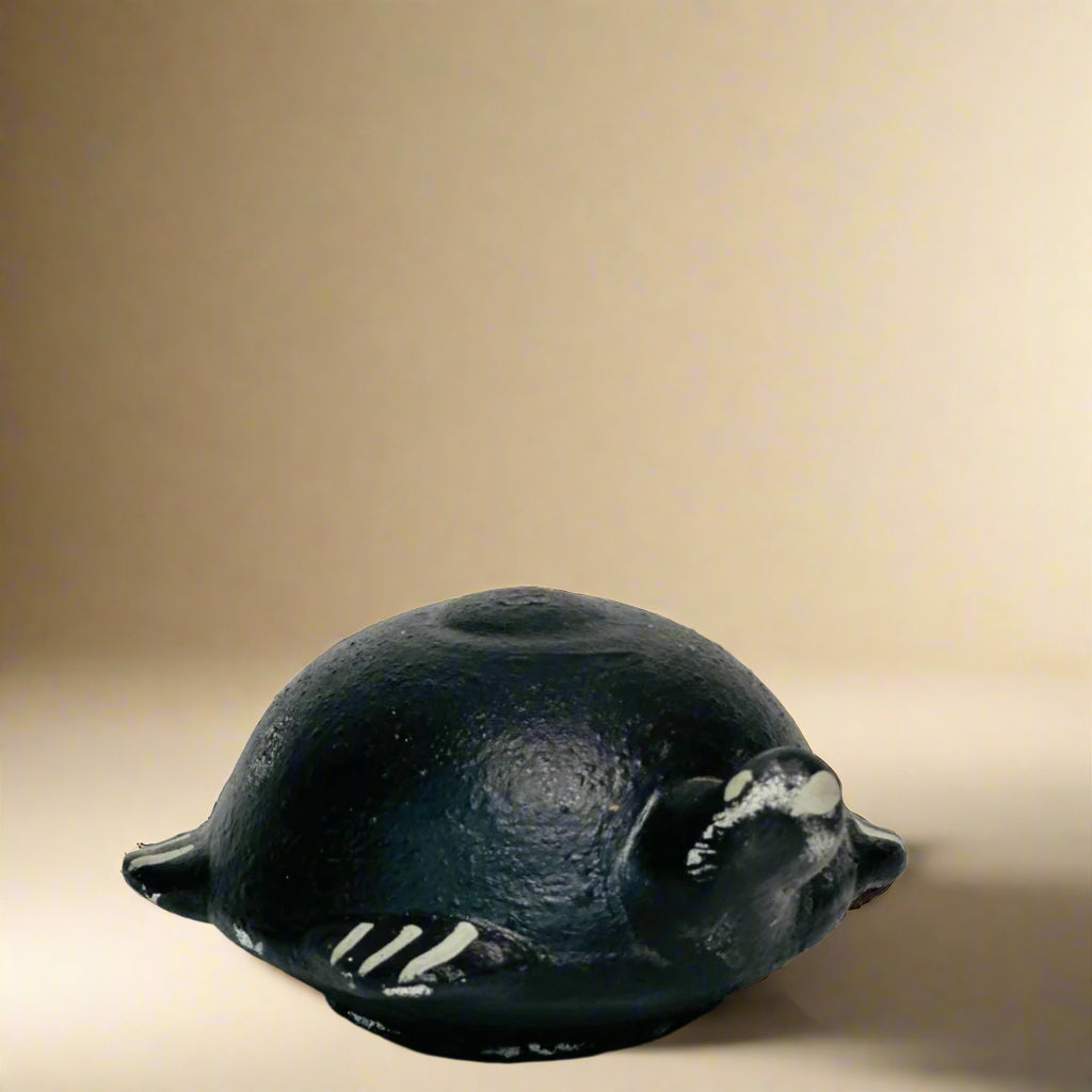 The Floating Tortoise
