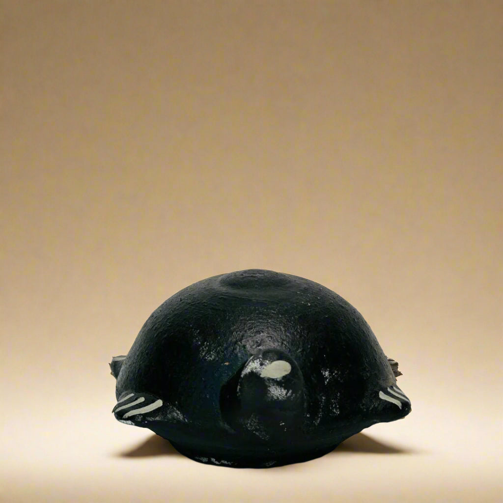 The Floating Tortoise