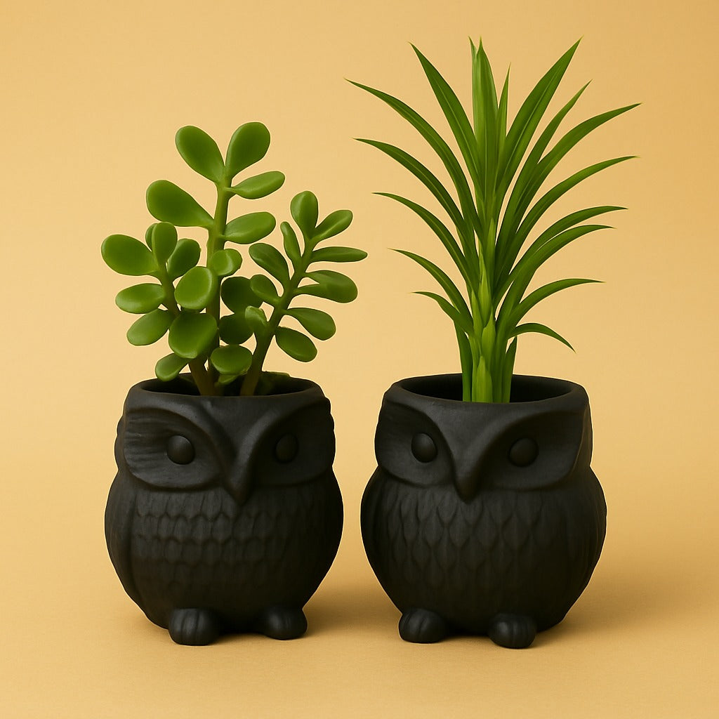 The Whispering Owls