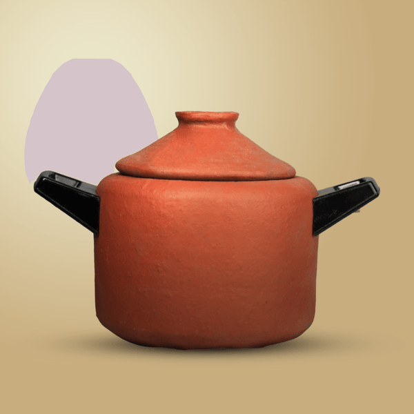 That Sunday Cooker – Clay Pot | thejaadu.com