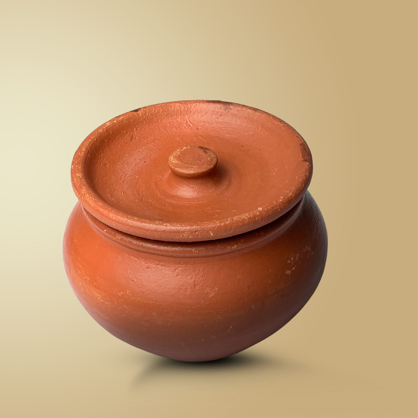 Warmth Lidded Pot