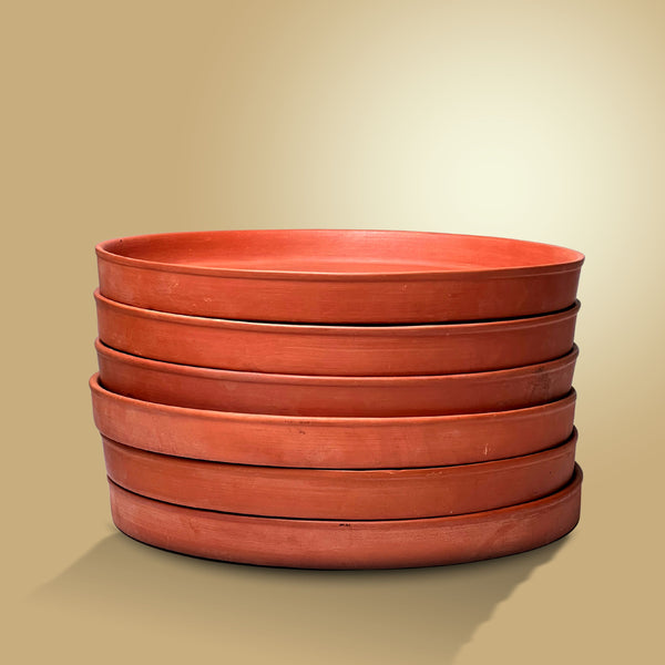 Family Dinner Plate: Where Meals Become Memories